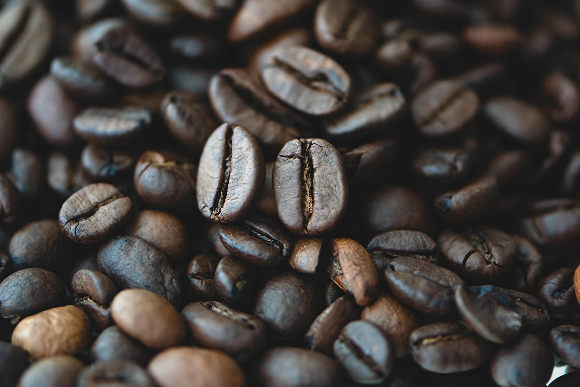 Spotlight Fine Food & Coffee şablonunun ekran görüntüsü